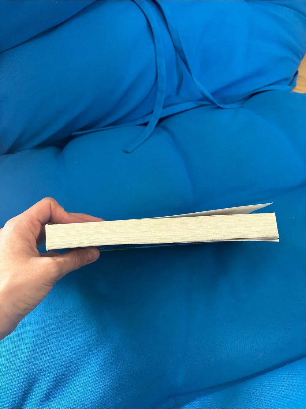 The Jewel Of The ISLE By Kerry Rea Soft Cover NWOTS Discarded Library Book